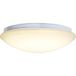Levitantes Verlichting, Afbeelding