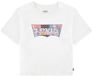 Levi's® Kids Meet&greet Organic T-shirt Manches Courtes Blanc 16 Ans Unisexe