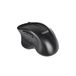 TooQ TQMWG-1105-B Souris Universel Droitier RF Sans fil Optique 1600 DPI Noir