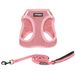 Voyager Step-in Air All Weather Mesh harnas en reflecterende hond 1,5 m riem combo met neopreen handvat, voor kleine, middelgrote en grote rassen puppy's van Best Pet Supplies - Hondenriem harnas