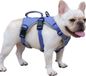 Harnas pour chien réglable avec poignée réfléchissante - Chien de taille moyenne - Violet - Randonnée extérieure