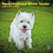 Baker & Bray West Highland White Terrier Kalender 2027
