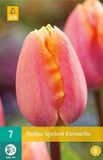 Jub Tulp Apricot Favourite bloembollen 7 bollen