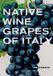 Native Wine Grapes Of Italy