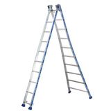 Tubesca Reformladder Platinium 300 Pro - 2 delen