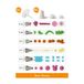 Decora Pastry Decorating Nozzle Set