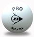 Dunlop Squashbal Pro White - Squashballen - wit