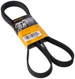 Continental CONTITECH 6PK1740 V-ribband