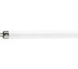 Philips Hue Philips TL-lamp - 8W - G5 - 410 lm - 4100K - Koel wit - 25 stuks
