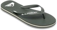 Quiksilver Molokai Core Slippers Khaki EU 47 Man