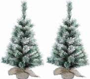 Everlands Kaemingk B.V. 2x Stuks mini kerstboom met sneeuw 60 cm in jute zak