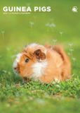 CalendarsRUs Cavia A3 Kalender 2027