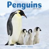 Avonside Pinguin Kalender 2027