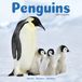 Avonside Pinguin Kalender 2027