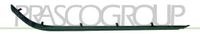 PRASCO Zier-/Schutzleiste, Stoßfänger BM0441254 hinten links | Compatibel met: BMW 5