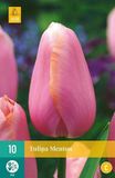 Jub X 10 Tulipa Menton zalmroze tulpen bloembollen