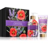 Rudy - Le Maioliche Lavender