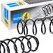 BILSTEIN 38-280429 Ressort de suspension Essieu arrière