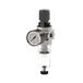 Riegler Filterregelaar »multifix-mini« met pc-houder en mano, 5 μm, BG 0, G 1/4, PE max. 16 bar, regelbereik 0,5-10 bar, afvoer: HA
