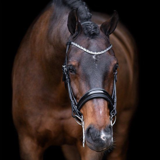 Imperial Riding Imperial Riding Kandarenzuim IRHOLymia, Zwart-Zilver, F/S