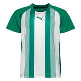 PUMA Maillot Teamliga - Vert/blanc Enfant, pointure 116 cm