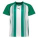 PUMA Maillot Teamliga - Vert/blanc Enfant, pointure 116 cm