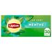 Lipton Thé vert 30 sachets menthe