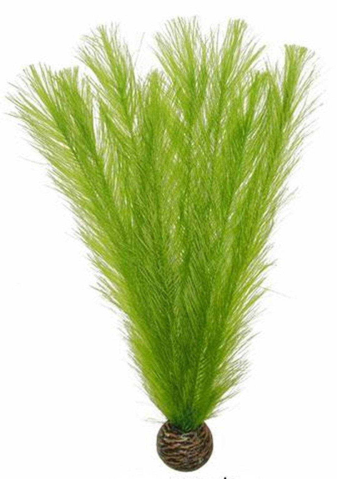 SuperFish Zijde plantje 20 cm II