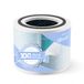 LEVOIT Filtre de remplacement pour purificateur d'air fumée de wildfire, 4-en-1 True HEPA, charbon actif à haute efficacité, noyau 300-RF-WS, 1 paquet, bleu