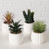 Boltze Home Kunstplant in witte pot H14cm