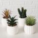 Boltze Home Kunstplant in witte pot H14cm