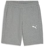 Puma sportshort TeamGoal CasuaLongsleeve-short 658608