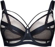 Esotiq Glam - Beha - Zwart - Voorgevormd - Met beugels - Maat 95C