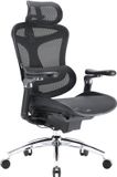 SIHOO Doro C300 Pro Ergonomische Bureaustoel