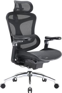 SIHOO Doro C300 Pro Chaise de bureau ergonomique