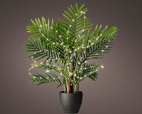 Lumineo Microled Plant Bo L80 cm Zilver/Wit Kerstverlichting