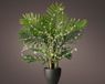 Lumineo Microled Plant Bo L80 cm Zilver/Wit Kerstverlichting