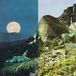 Equinox Black Oak - Equinox (LP)