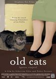 Source1 Old cats (DVD)