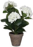 Mica Decorations Hortensia Kunstplant in Bloempot Stan - H40 x Ø35 cm - Wit