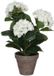 Mica Decorations Hortensia Kunstplant in Bloempot Stan - H40 x Ø35 cm - Wit
