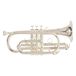 Roy PURE GEWA Bb-Cornet Roy Benson CR-202S