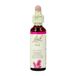 Bach Flower Remedie 24 Pin 20ml