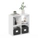 Furinno Pelli Kubieke Opbergkast, 2x2, Wit