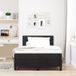 Maison Exclusive - Lit boxspring avec matelas noir 120 x 200 cm, velours