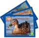 Rätselstreifen Hase und Igel Rätselstreifen Ratespaß / Kamishibai Bildkarten