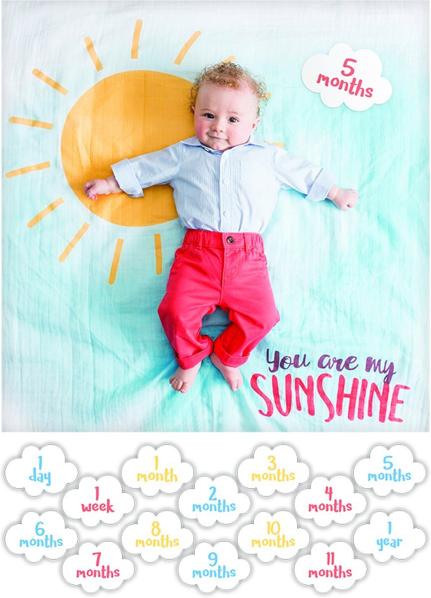 Lulujo Baby s First Year swaddle cards You Are My Sunshine Meerkleurig