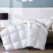 Couette King Size, 90% plumes/10% duvet, blanc, léger