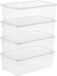 Rotho Clear Set van 4 opbergdozen 5l met deksel, Kunststof (PP) BPA-vrij, transparante, 4 x 5l