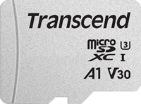 Transcend 300S